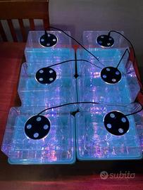 Mini Serre LED Germinazione Semenzaio piante semi
