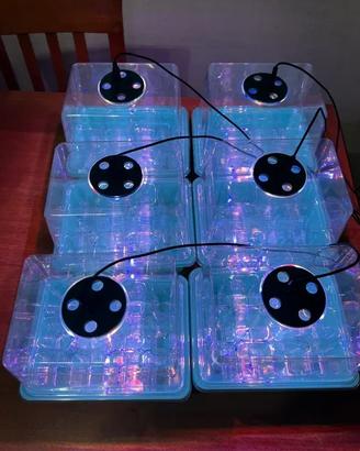 Mini Serre LED Germinazione Semenzaio piante semi