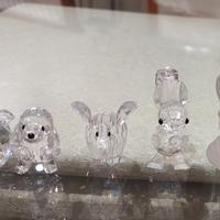 Animali Swarovski