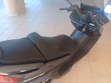 MAJESTY 250