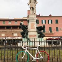 Bicicletta Pinarello