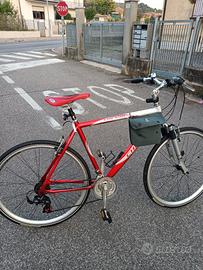 il velocipede scic