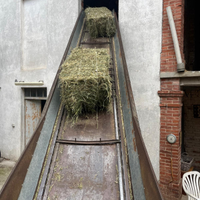 Fieno e erba medica di buona qualita Friuli