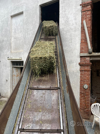 Fieno e erba medica di buona qualita Friuli