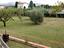 Immagine 17