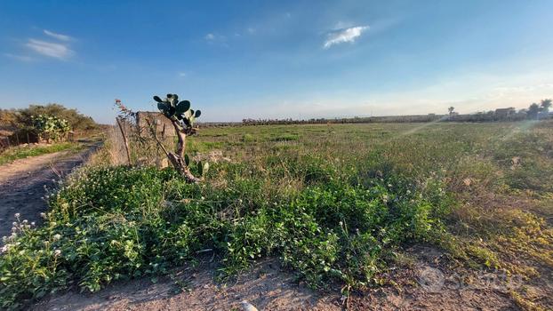 Terreno agricolo 1 ettaro