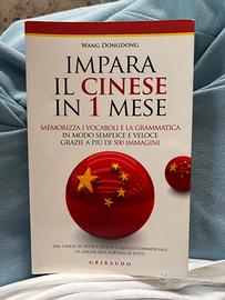 Impara il cinese in 1 mese