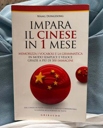 Impara il cinese in 1 mese