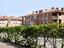 Immagine 12