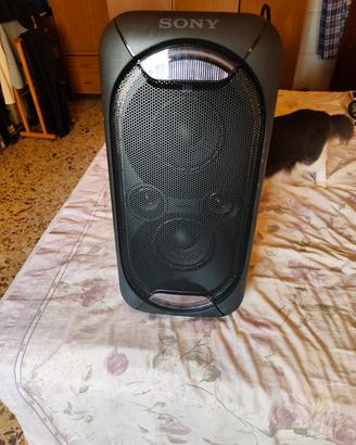 cassa attiva con microfono 