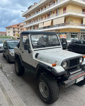 Asia motors rocsta
