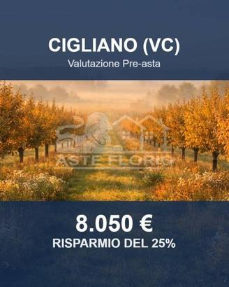 Immobile in asta di 3810 m² a Cigliano