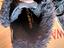 Immagine 4