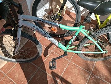 bicicletta Cherri X-24