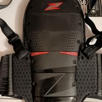 PARASCHIENA ZANDONÀ