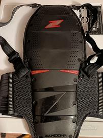 PARASCHIENA ZANDONÀ