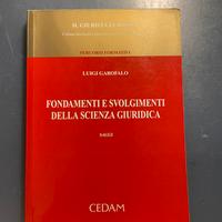 Fondamenti e svolgimenti della scienza giuridica