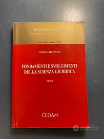 Fondamenti e svolgimenti della scienza giuridica