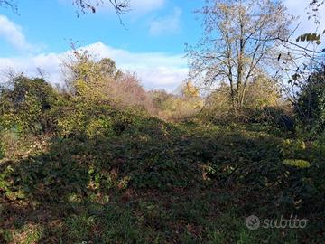 Terreno di 3174 m² a Reggio Emilia