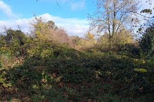 Terreno di 3174 m² a Reggio Emilia