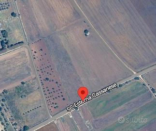 Terreno presso strada cassanese BA003696