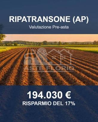 Immobile in asta di 93361 m² a Ripatransone