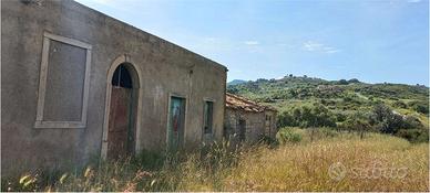 Terreno con Ulivi produttivi e antico Palmento