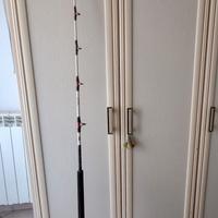 Canna Abu Garcia Commodore