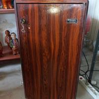 mini frigo funzionante 