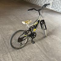Bicicletta vicini da ragazzo 20