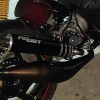 Roost SP1 per piaggio ac/lc