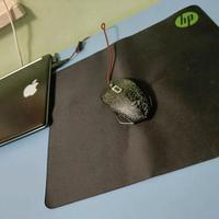 Hp 300 tappetino mouse