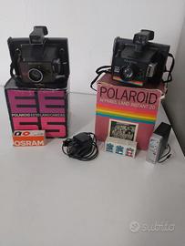 Polaroid