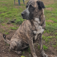 Kyra semplicemente stupenda