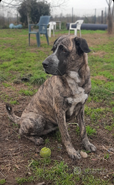 Kyra semplicemente stupenda