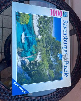 Puzzle da 1000 pezzi