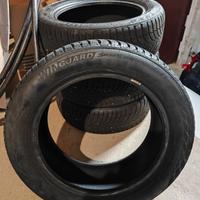 Pneumatici invernali Nexen