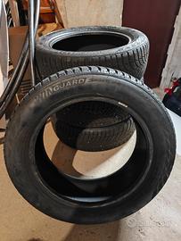 Pneumatici invernali Nexen