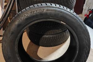 Pneumatici invernali Nexen