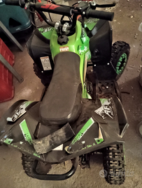 Quad 50 cc Renegade