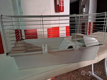 Gabbia coniglio nano