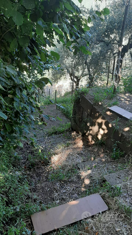 Vendo terreno agricolo