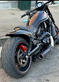 NIGHT ROD SPECIAL