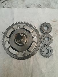 Rapporti campana vespa