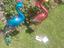Immagine 2