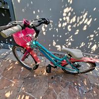 bicicletta lombardo ruota n.20: perfettamente funz