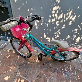 bicicletta lombardo ruota n.20: perfettamente funz