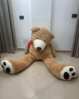 Orso peluches
