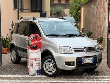 Fiat Panda 1.2 Climbing Natural Power