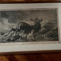 Pregiato quadro di caccia A Plunge for Life